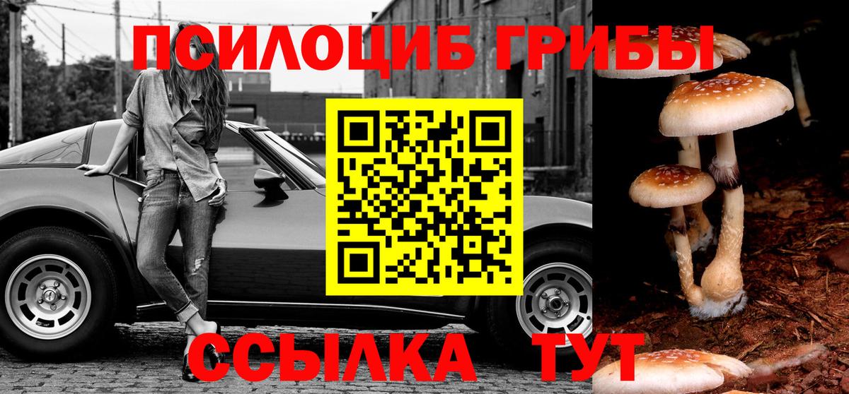 Псилоцибиновые грибы прущие грибы Нижнекамск