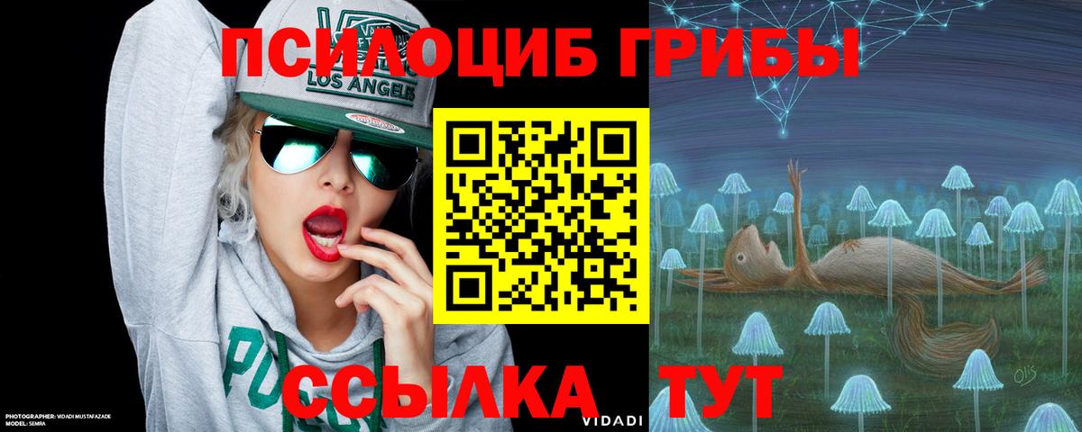 Нижнекамск  Галлюциногенные грибы прущие грибы  Вход с VPN  Галлюциногенные грибы GOLDEN TEACHER 